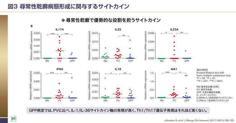 GPPとPsVの病態の違い03
