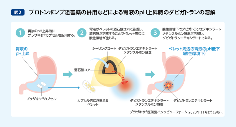 プロトンポンプ阻害薬の併用などによる胃液のpH上昇時のダビガトランの溶解