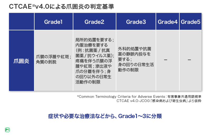 表1 爪囲炎の評価法