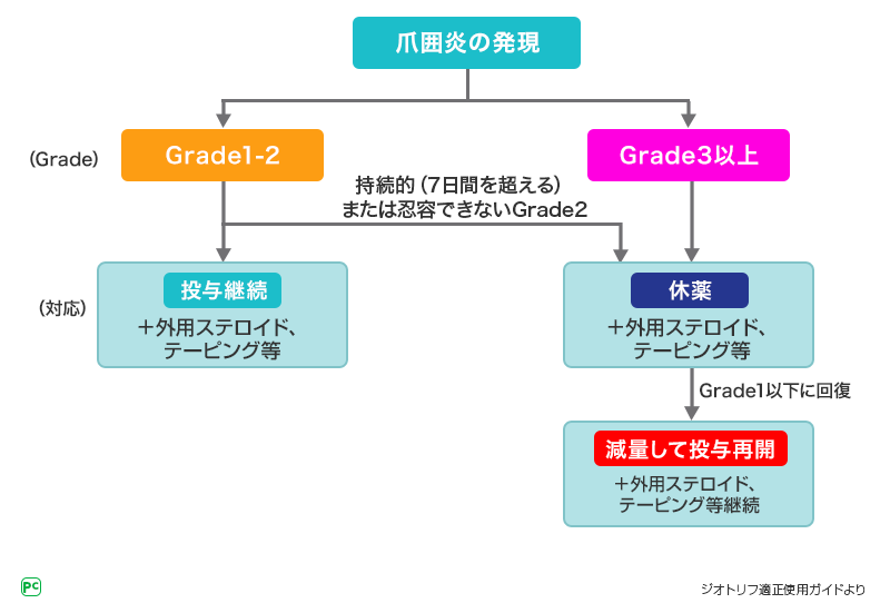 図2 異常が認められた場合の対応