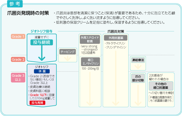 爪囲炎発現時の対応