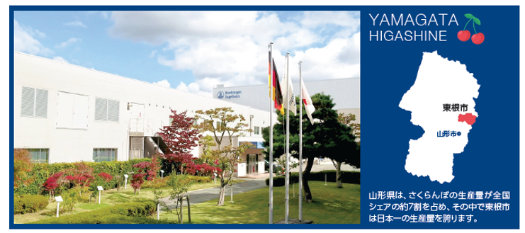 世界最高水準の山形工場を紹介します。 患者さんのもとへプラザキサ🄬が届くまで