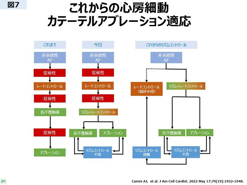 これからの心房細動カテーテルアブレーション適応