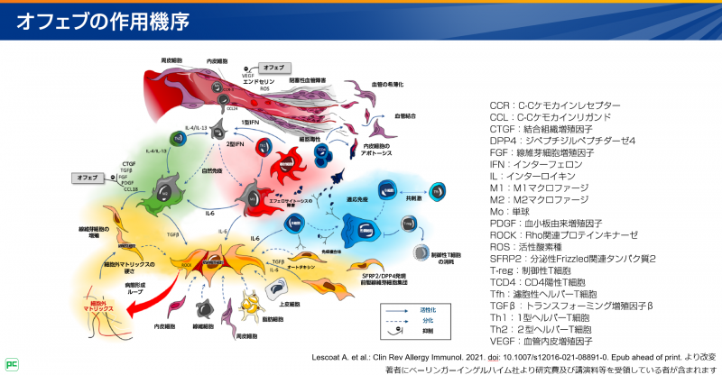 SSc-ILDの病態メカニズムとオフェブの作用機序02