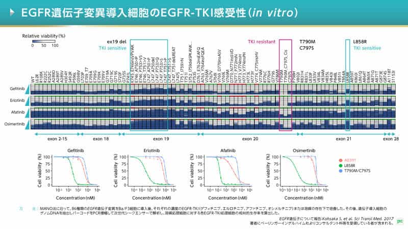 MANO法によるEGFR重複変異の薬剤感受性評価
