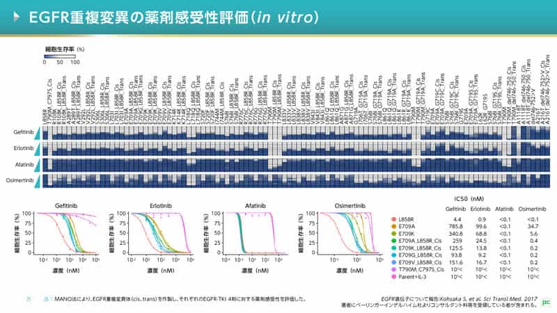 EGFR遺伝子変異別レジメン比較（マウス）