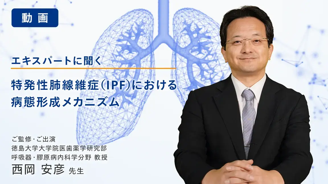 特発性肺線維症（IPF）における病態形成メカニズム（動画）
