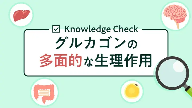 Knowledge Check グルカゴンの多面的な生理作用